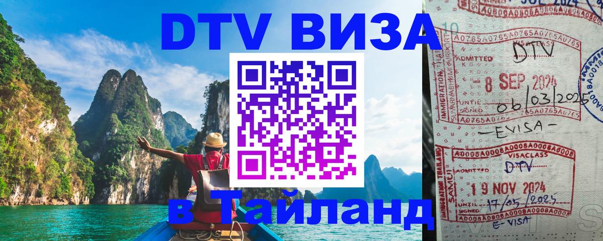 Сколько стоит DTV виза — актуальные цены, оформление даже без документов - 19.11.2025 